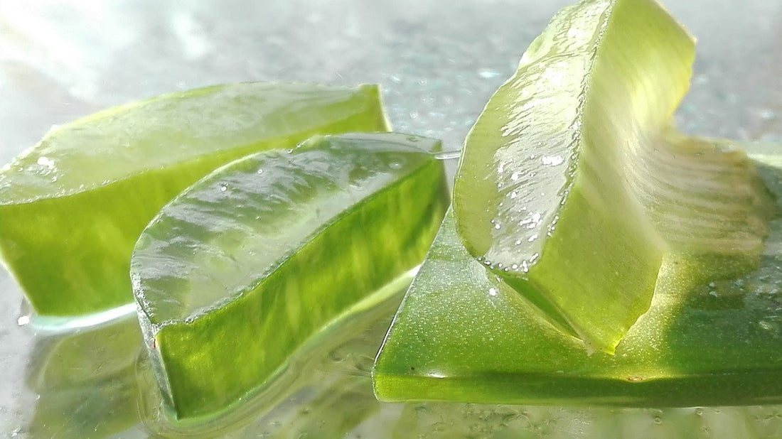 Aloe Vera in Bar Soap: A Comprehensive Guide